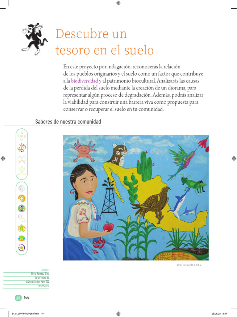 6o Proyectos Comunitarios Sexto Grado Removed (1) Removed | PDF ...