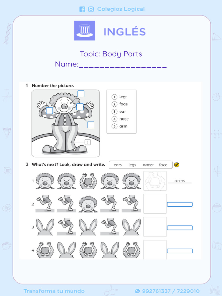 Body Parts Activities (1) | PDF