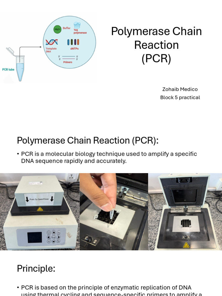 Polymerase Chain Reaction | PDF | Polymerase Chain Reaction | Real Time ...