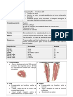 protocolo antebraço