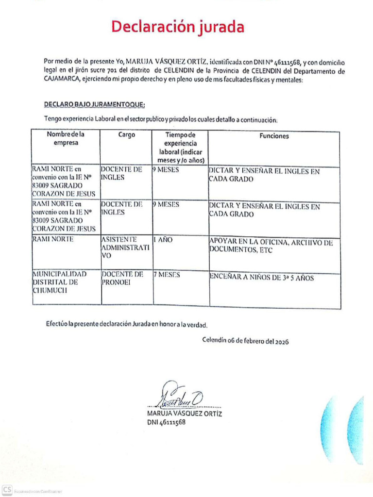 DECLARACION JURADA 2026 | PDF