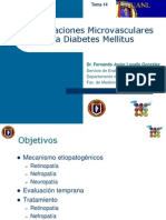 Tema 17 Complicaciones Cronicas Microvasculares