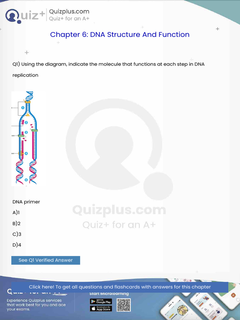 Using the Diagram Indicate the Molecule That Functions at Each Step in ...