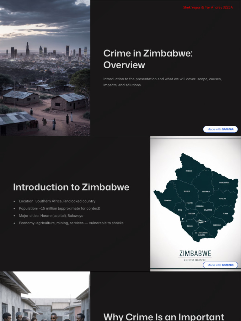 Crime in Zimbabwe Overview | PDF | Crimes | Crime & Violence