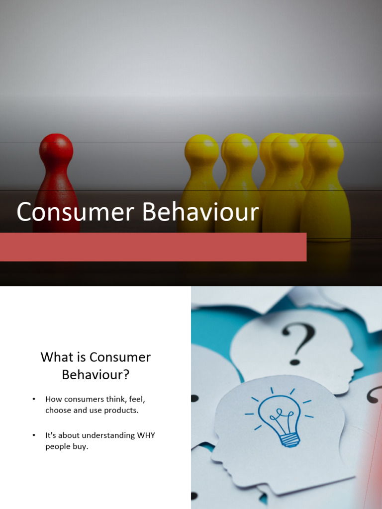 Introduction to Consumer Behaviour | PDF