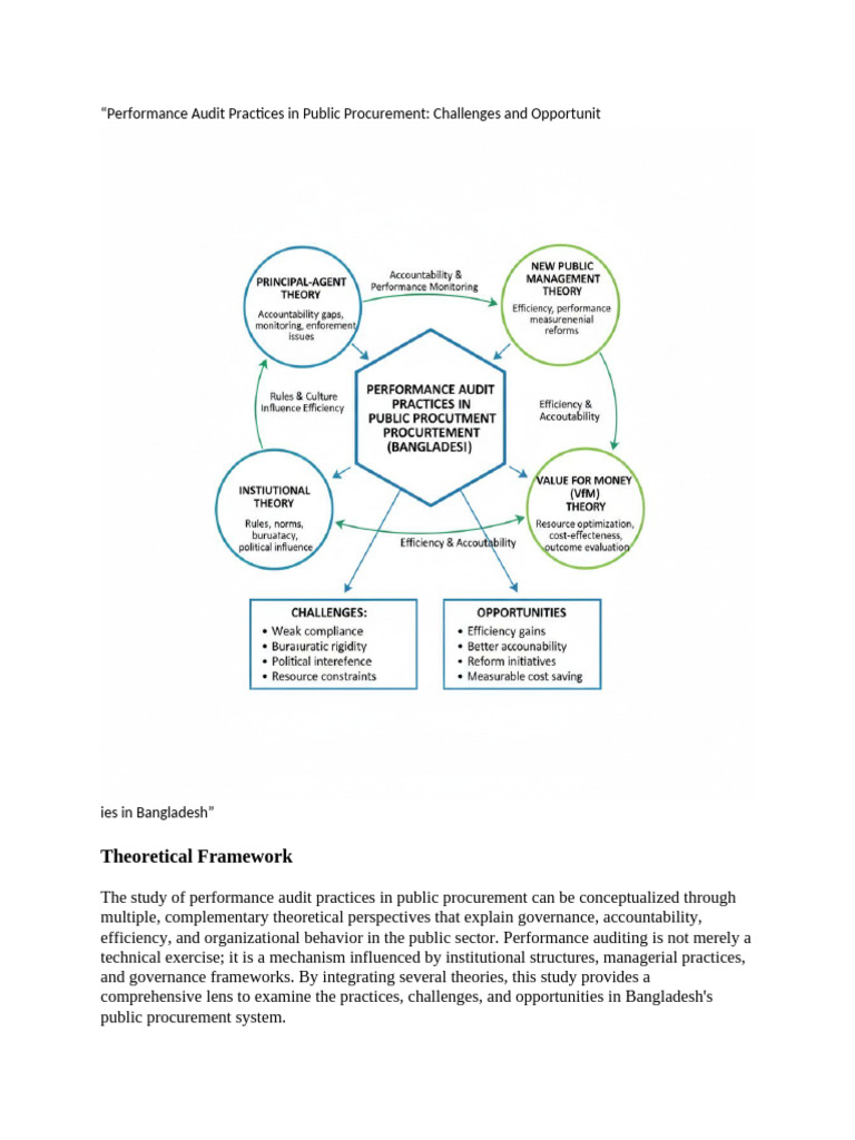Performance Audit Practices in Public Procurement | PDF | Audit ...