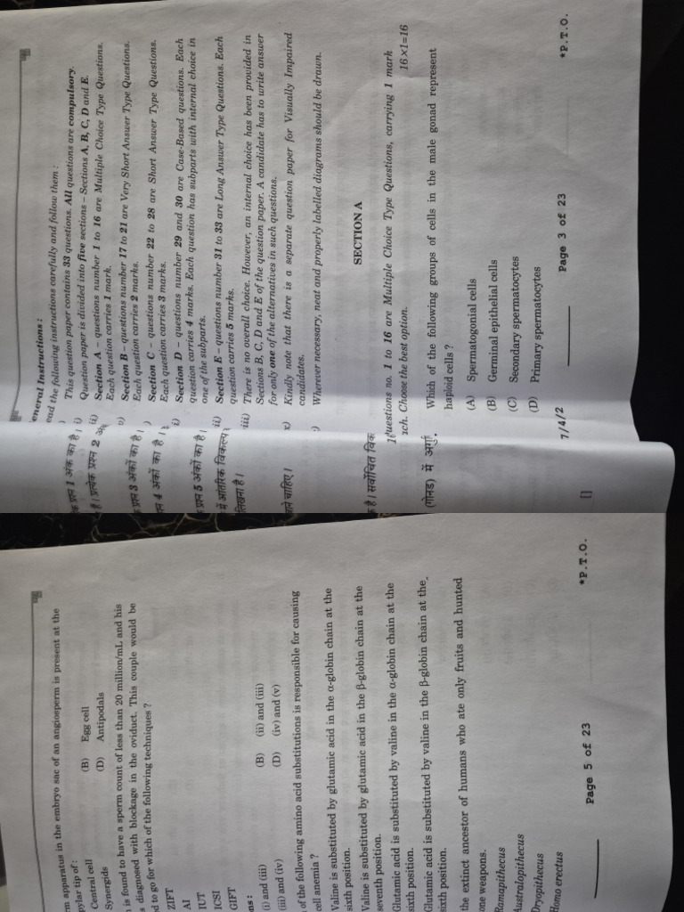 set 2 | PDF