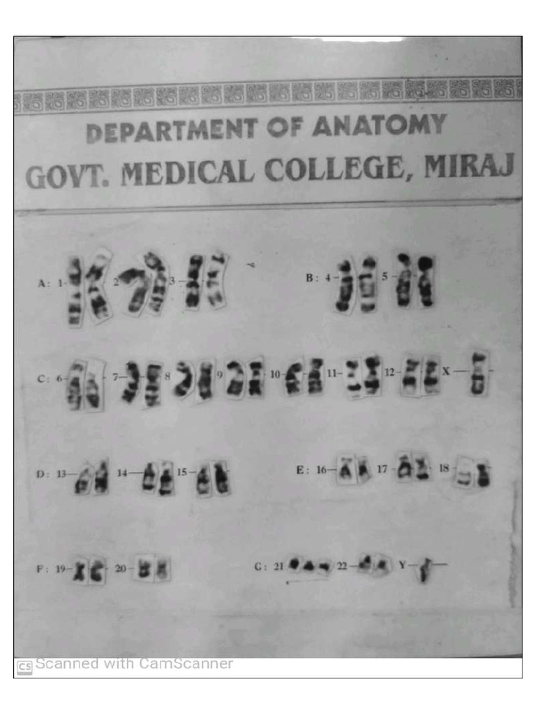 Genetic Charts | PDF