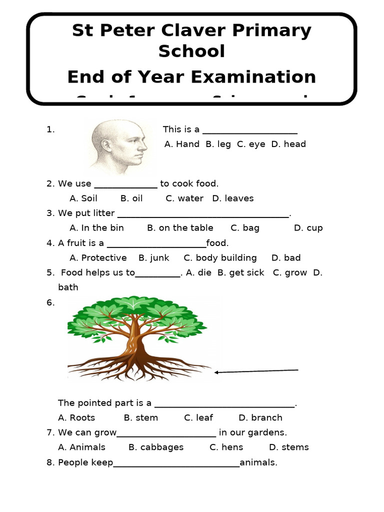 Grade 1 Science and Technology | PDF