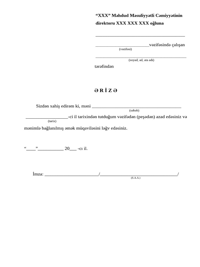 Document 31 | PDF