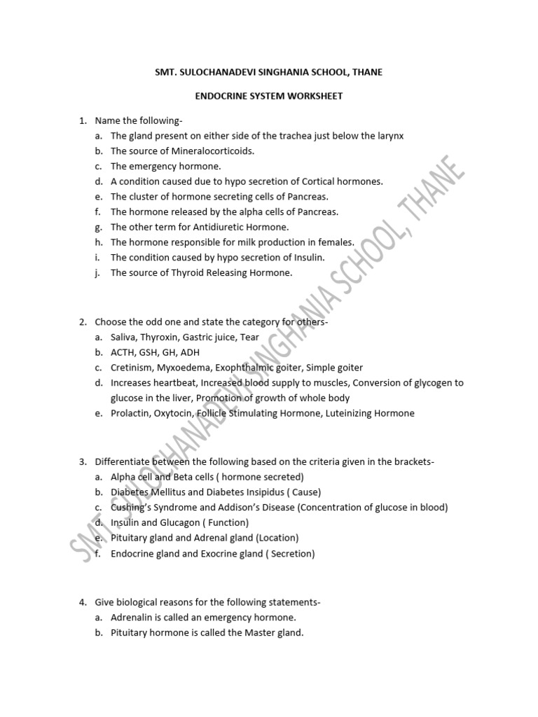 Endocrine System Worksheet-1 | PDF