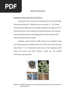 Download deskripsi karet by M Yandi Syukri SN102887083 doc pdf