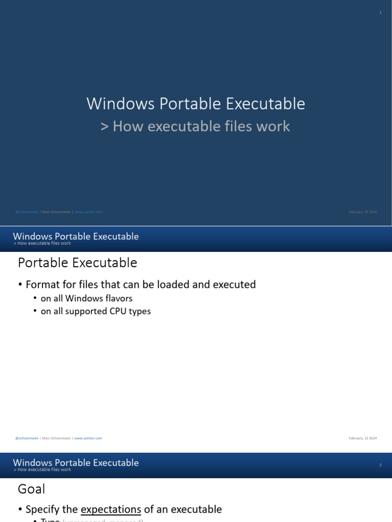 Windows Portable Executable | PDF | Computing | System Software