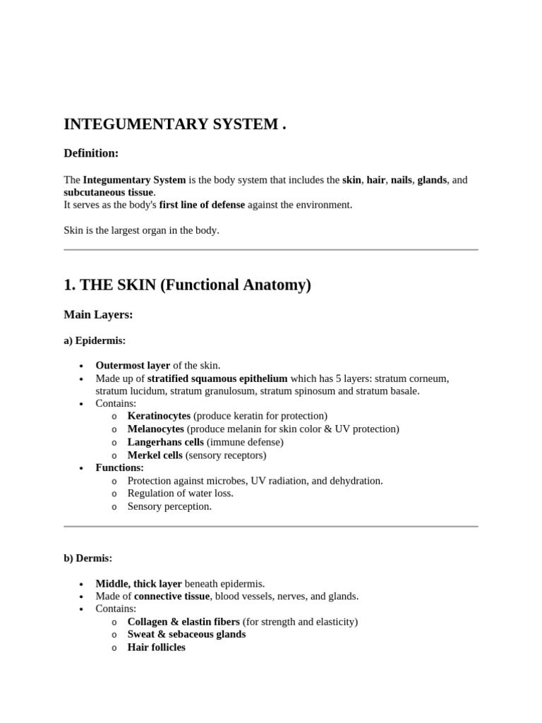 Integumentary System | PDF