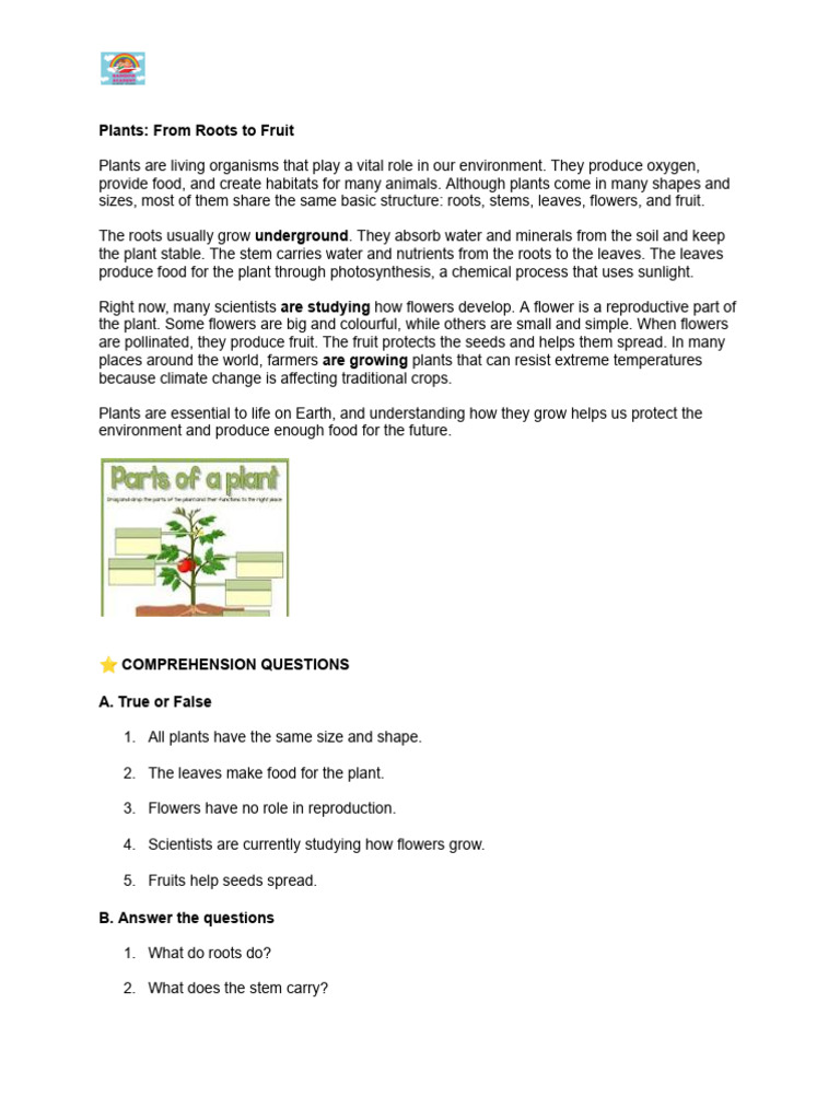 Plants_ From Roots to Fruit | PDF
