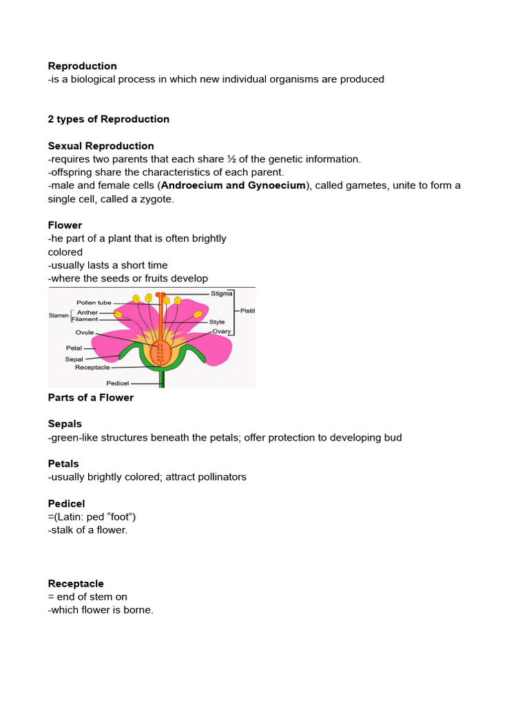 Reproduction & Asexual Reproduction | PDF | Flowers | Pollination