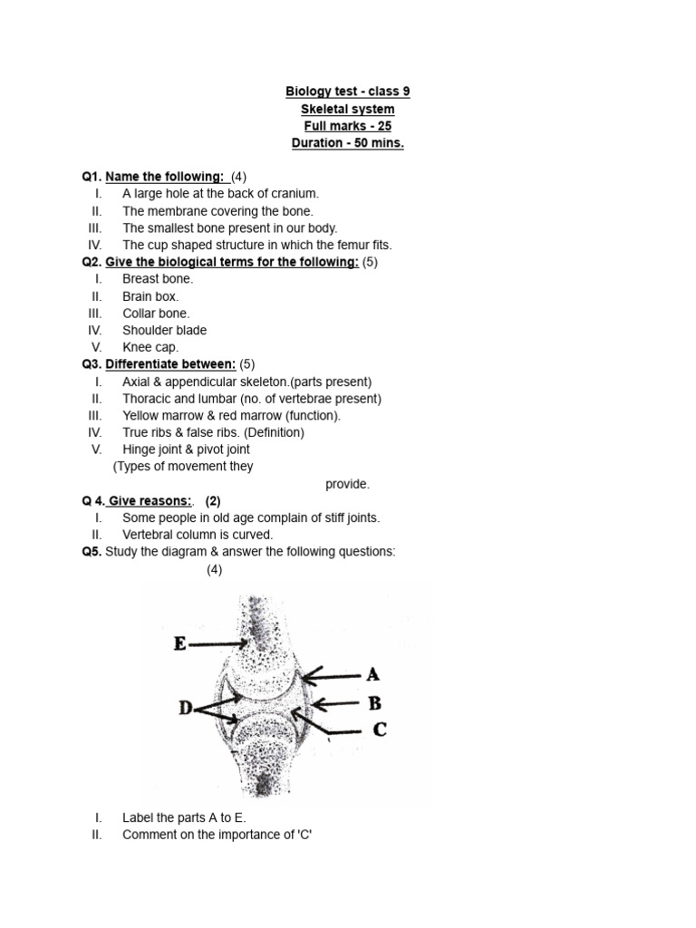 Skeletal System- Class 9 | PDF