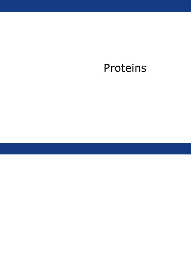 Amino Acids and Proteins 2025-2026 | PDF | Amino Acid | Proteins