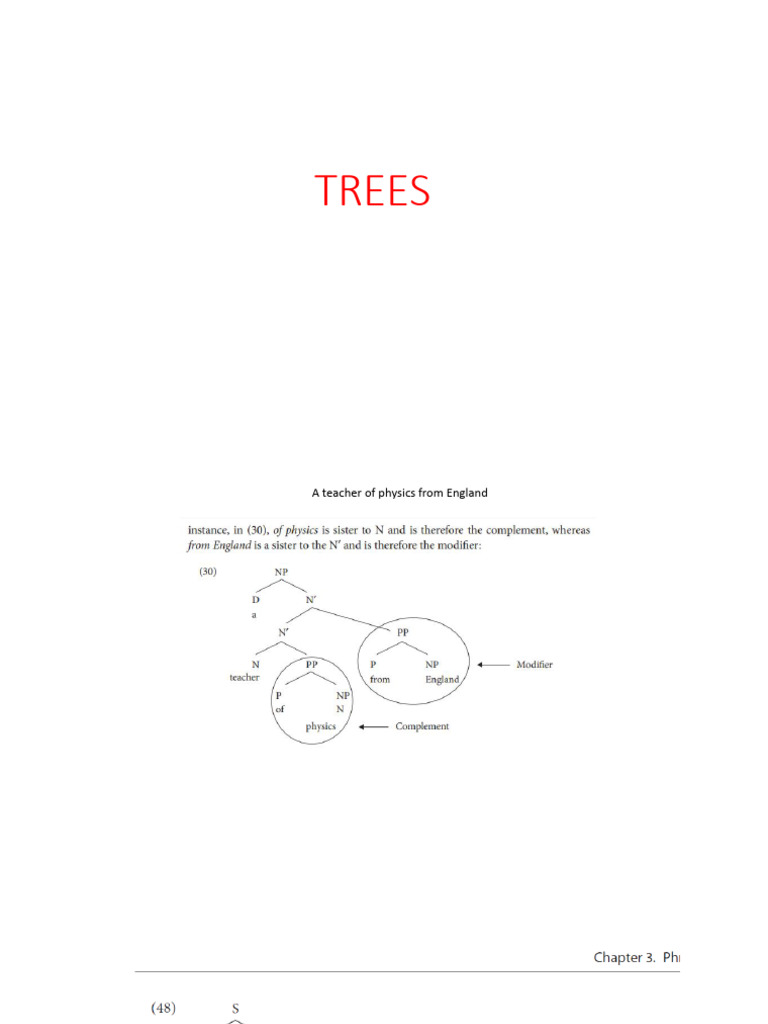 Trees | PDF