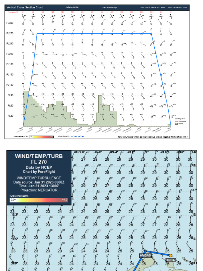 Briefing: SKMD - TNCA (Created 31 Jan 10:39:54Z) | PDF