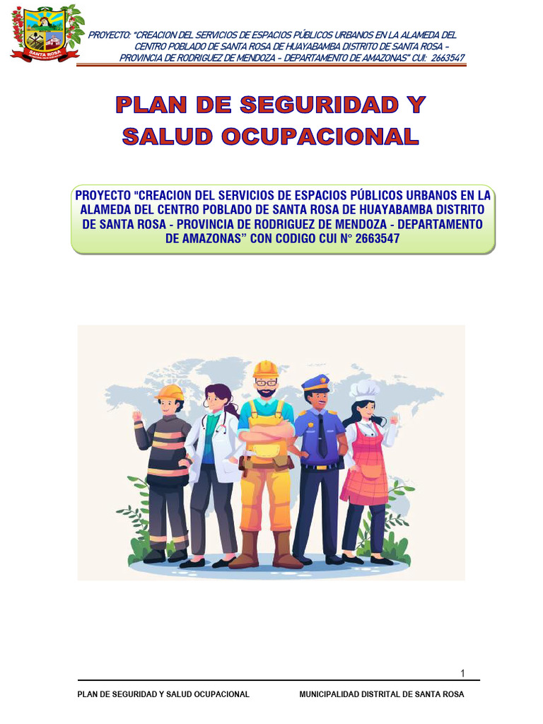 FORMATO #23 - Plan de Seguridad y Salud Ocupacional | PDF | Seguridad y ...