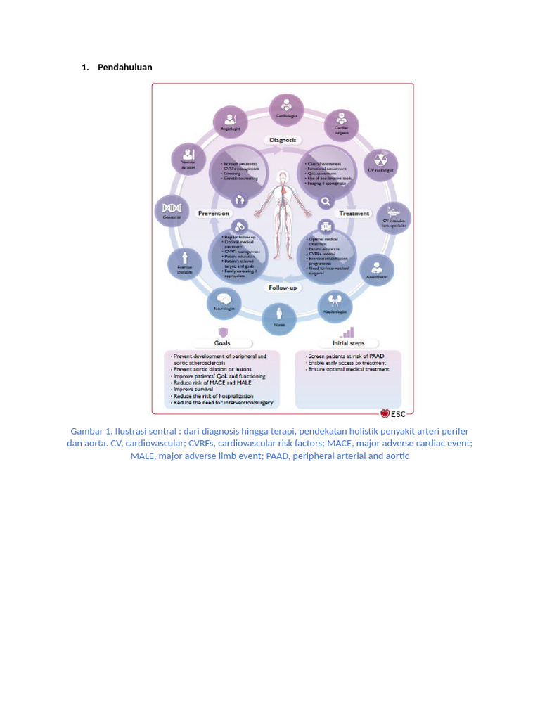 Peripheral Arterial Disease | PDF