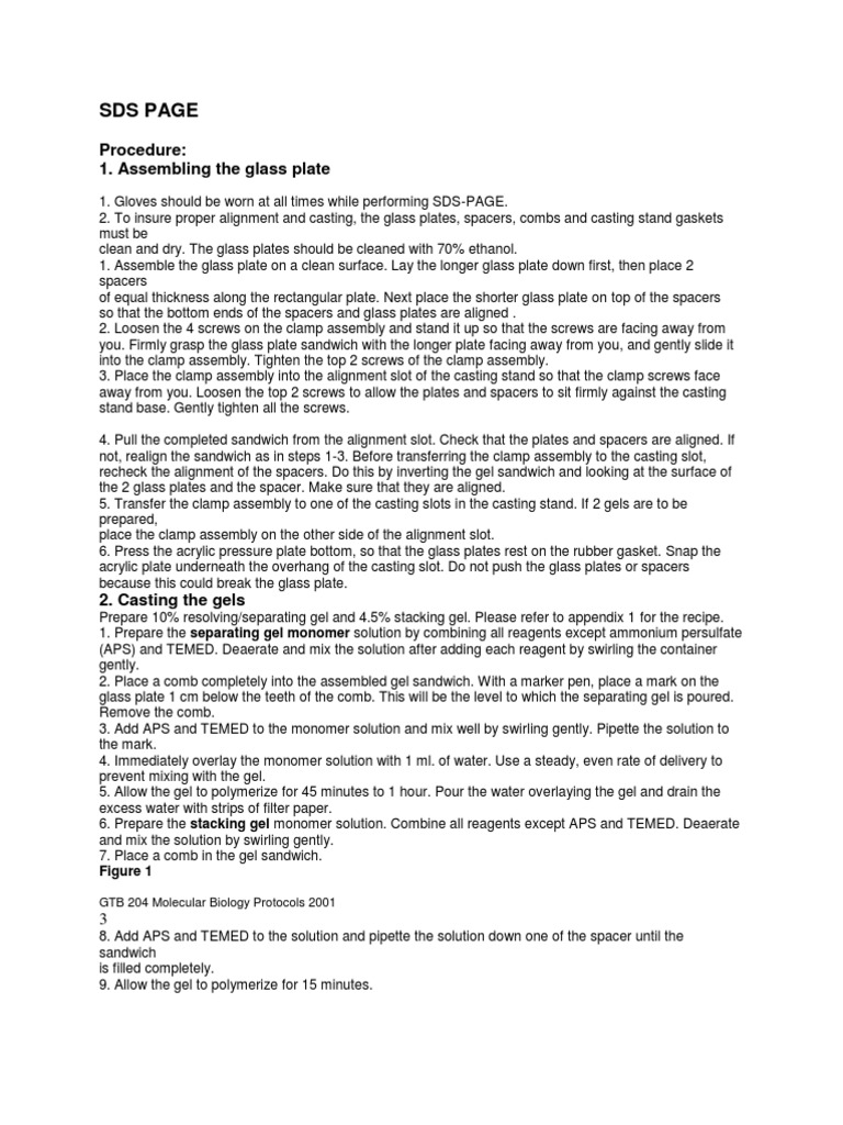 Sds Page Procedure 1. Assembling The Glass Plate PDF Gel