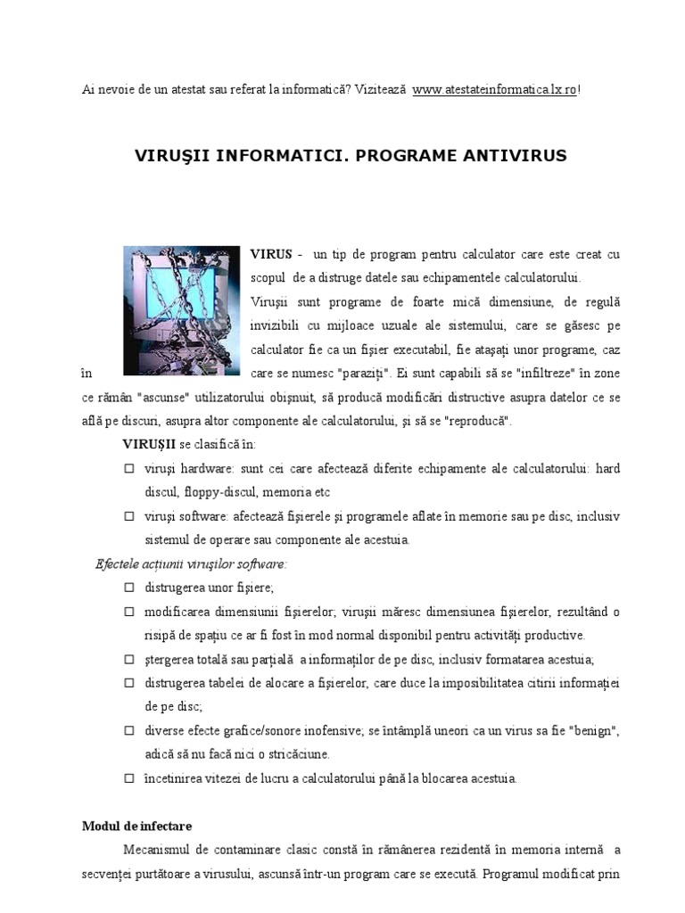 Bazele Informaticii Virusi Si Antivirusi | PDF