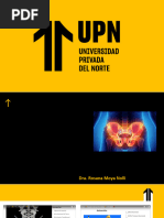Análisis del Ángulo Lumbosacro y Ferguson | PDF | La columna vertebral ...