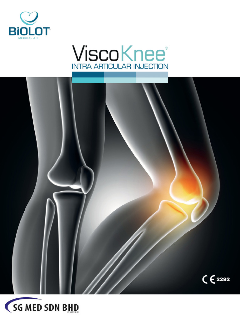 ViscoKnee Intra-Articular Injection | PDF