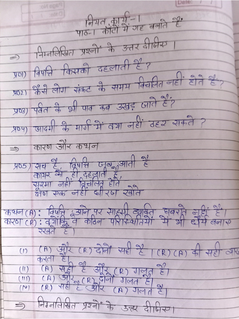 Hindi Assignment | PDF