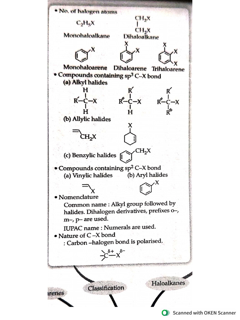 Organic Chemistry Revision | PDF