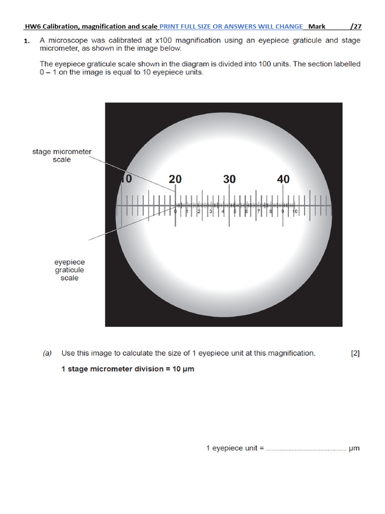 HW 6 Calibration, Magnification and Scale Questions.docx | PDF