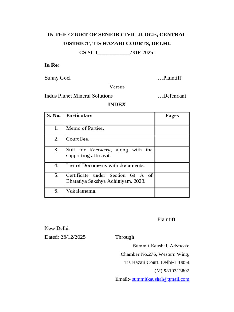 Civil Recovery Suit Sunny Goel vs Indus Planet Mineral Solutions | PDF ...
