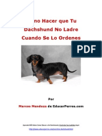 Cómo Hacer Que Tu Dachshund No Ladre Cuando de Lo Ordenes