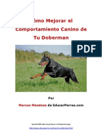 Cómo Mejorar el Comportamiento Canino de tu Doberman