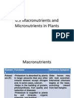 6.9 Macronutrients and Micronutrients in Plants