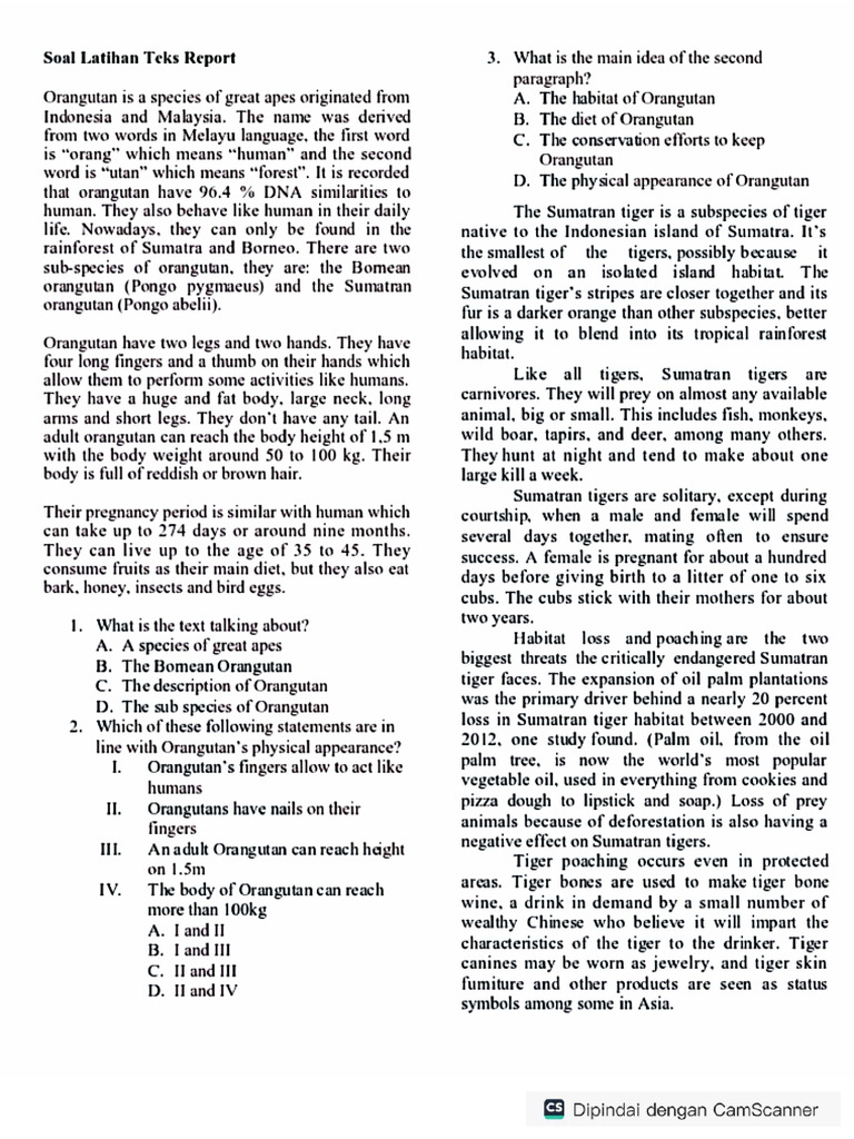 Les Report Text | PDF