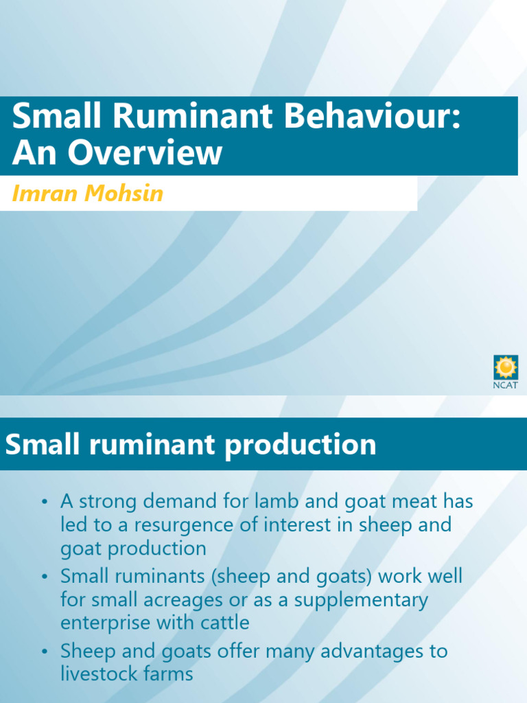Small_Ruminant Behaviour | PDF
