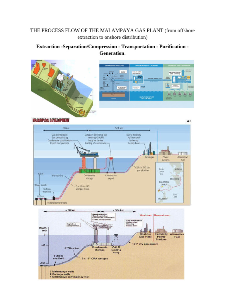 The Process Flow of The Malampaya Gas Plant | PDF | Natural Gas | Power ...
