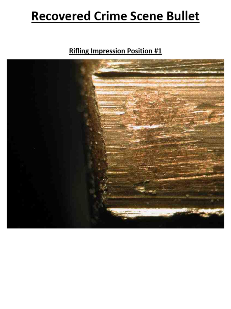Recovered Crime Scene Bullet | PDF