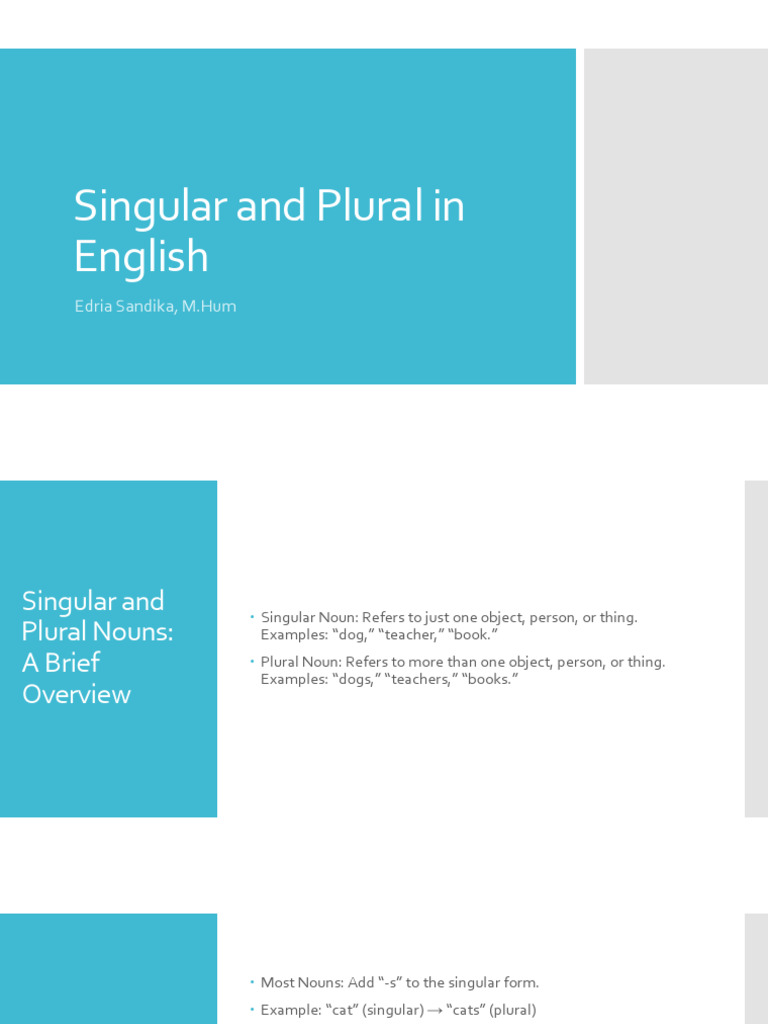 02 Singular and Plural in English | PDF | Plural | Grammatical Number