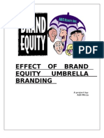 Effect of Brand Equity Umbrella Branding