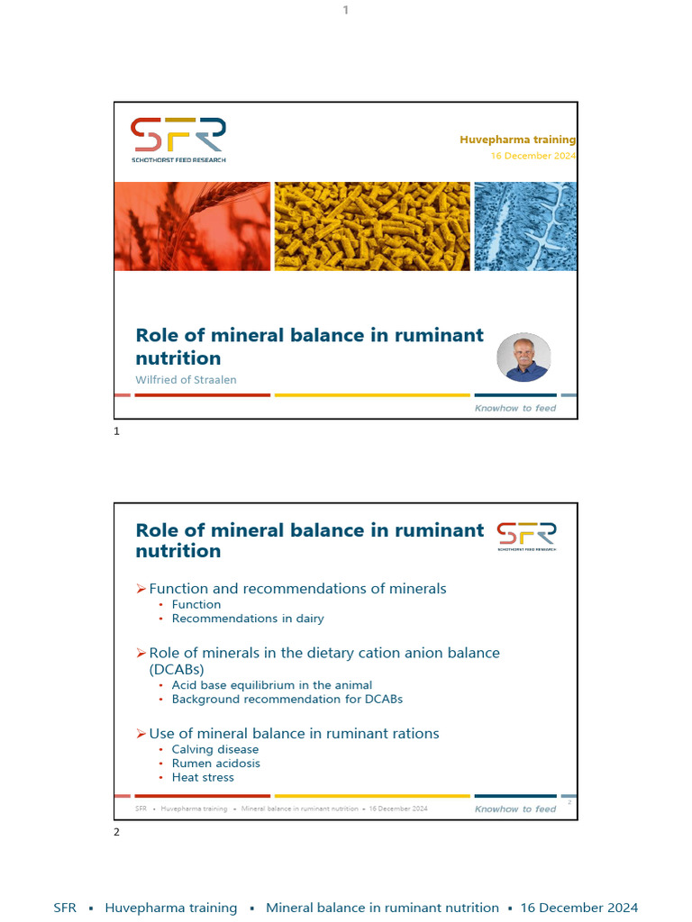 2.1_Mineral_balance_in_ruminant_nutrition | PDF | Ruminant | Chemistry