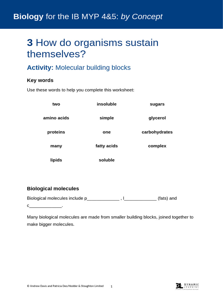 Station Molecular Building Blocks | PDF | Carbohydrates | Biomolecules