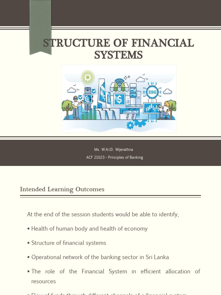 1. Structure of Financial Systems | PDF | Cost Of Living | Circulatory ...