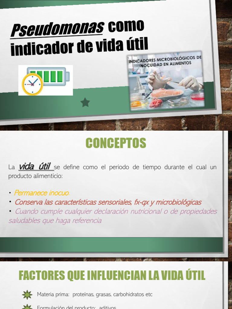 Indicadores de Vida Útil | PDF