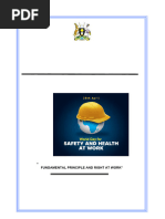 SHERQ Policy | PDF