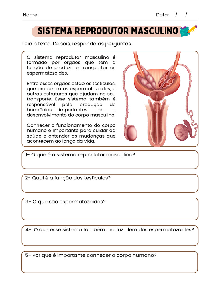 Atividade de Ciências Sistema Reprodutor Masculino Ilustrado Marrom ...