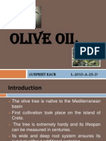 Olive Oil